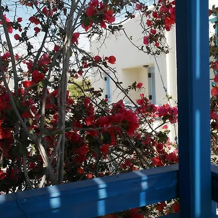 Πανσιόν Pigasos