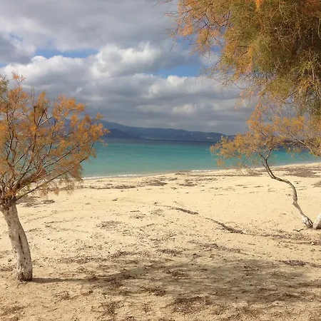 Pigasos Pensjonat Agios Prokopios (Naxos)